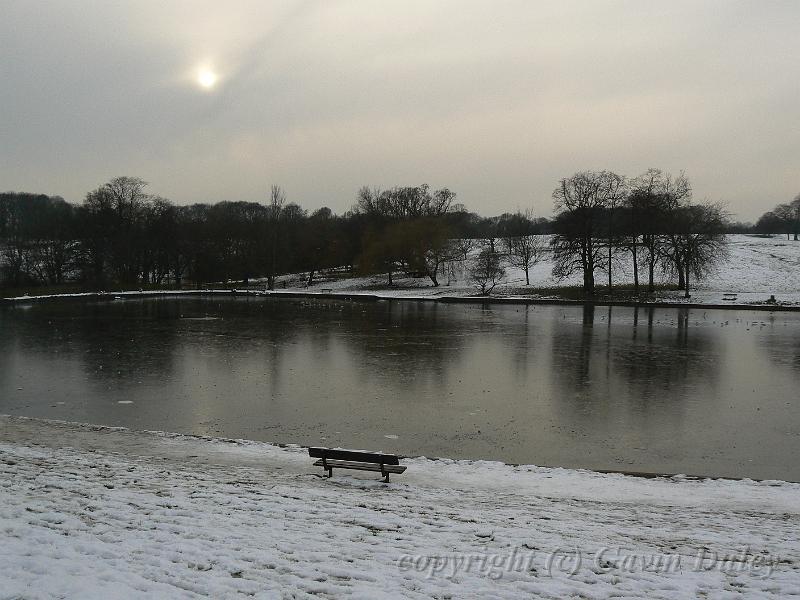 Winter, Hampstead Heath P1070555.JPG